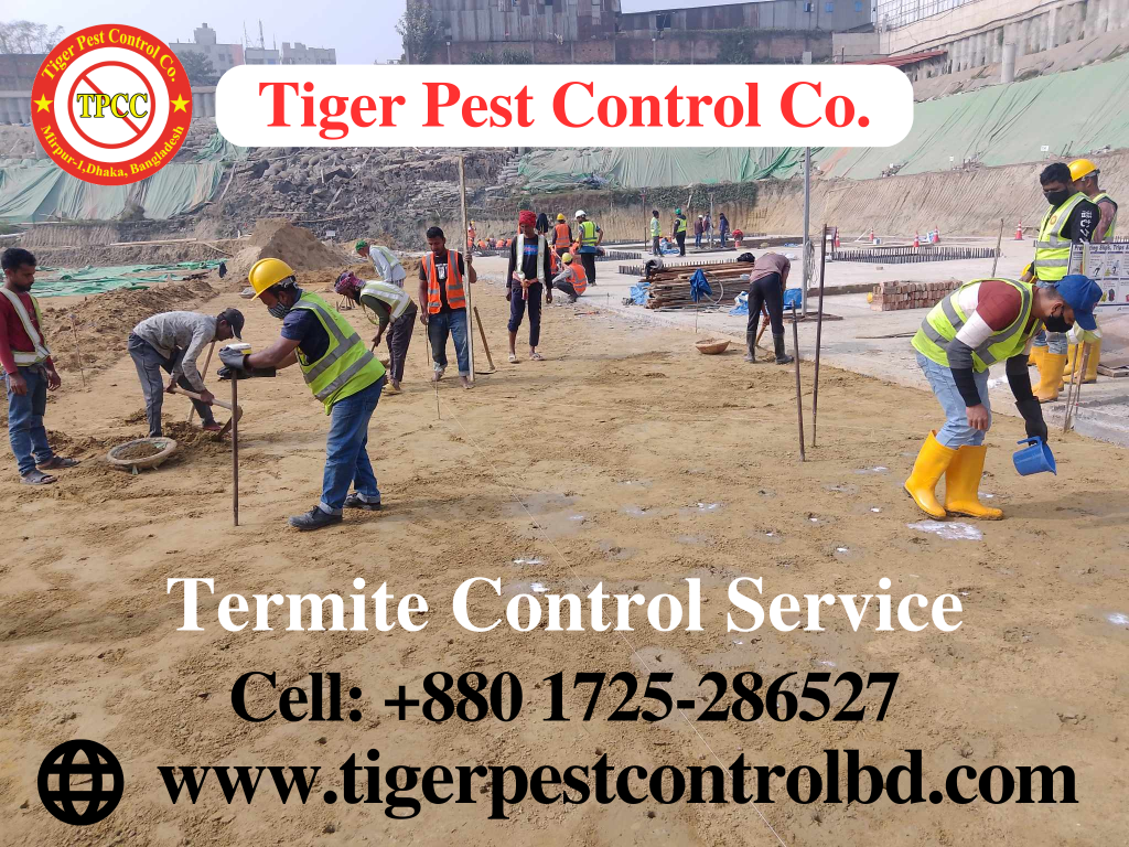 Pest Control Comilla